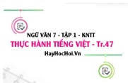 Soạn bài Thực hành tiếng Việt trang 47 lớp 7 Kết nối tri thức tập 1